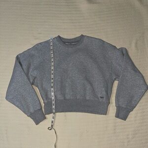 Aritzia TNA Cozy Fleece Boyfriend Cropped Crew Sweat Shirt (Heather Chrome)